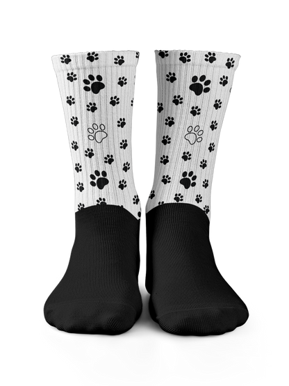Calzini - Paws