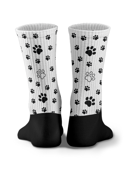 Calzini - Paws