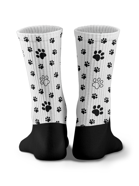 Calzini - Paws